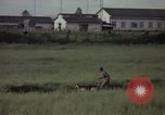 Immagine di Sentry cane attaccando Tan Son Nhut Air Force Base Vietnam, 1965, secondo 10 filmato di repertorio 65675028503