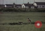 Immagine di Sentry cane attaccando Tan Son Nhut Air Force Base Vietnam, 1965, secondo 11 filmato di repertorio 65675028503