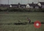 Immagine di Sentry cane attaccando Tan Son Nhut Air Force Base Vietnam, 1965, secondo 12 filmato di repertorio 65675028503