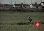 Immagine di Sentry cane attaccando Tan Son Nhut Air Force Base Vietnam, 1965, secondo 13 filmato di repertorio 65675028503