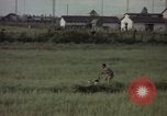 Immagine di Sentry cane attaccando Tan Son Nhut Air Force Base Vietnam, 1965, secondo 14 filmato di repertorio 65675028503