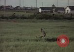 Immagine di Sentry cane attaccando Tan Son Nhut Air Force Base Vietnam, 1965, secondo 16 filmato di repertorio 65675028503