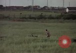 Immagine di Sentry cane attaccando Tan Son Nhut Air Force Base Vietnam, 1965, secondo 18 filmato di repertorio 65675028503