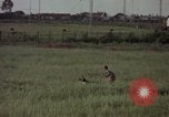 Immagine di Sentry cane attaccando Tan Son Nhut Air Force Base Vietnam, 1965, secondo 19 filmato di repertorio 65675028503