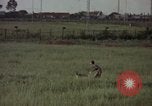 Immagine di Sentry cane attaccando Tan Son Nhut Air Force Base Vietnam, 1965, secondo 20 filmato di repertorio 65675028503