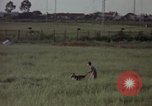 Immagine di Sentry cane attaccando Tan Son Nhut Air Force Base Vietnam, 1965, secondo 21 filmato di repertorio 65675028503