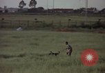 Immagine di Sentry cane attaccando Tan Son Nhut Air Force Base Vietnam, 1965, secondo 22 filmato di repertorio 65675028503