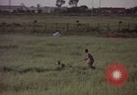 Immagine di Sentry cane attaccando Tan Son Nhut Air Force Base Vietnam, 1965, secondo 24 filmato di repertorio 65675028503