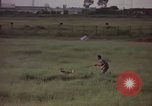 Immagine di Sentry cane attaccando Tan Son Nhut Air Force Base Vietnam, 1965, secondo 25 filmato di repertorio 65675028503