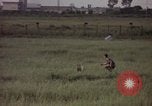 Immagine di Sentry cane attaccando Tan Son Nhut Air Force Base Vietnam, 1965, secondo 26 filmato di repertorio 65675028503