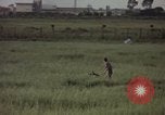 Immagine di Sentry cane attaccando Tan Son Nhut Air Force Base Vietnam, 1965, secondo 27 filmato di repertorio 65675028503