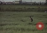 Immagine di Sentry cane attaccando Tan Son Nhut Air Force Base Vietnam, 1965, secondo 29 filmato di repertorio 65675028503