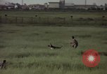 Immagine di Sentry cane attaccando Tan Son Nhut Air Force Base Vietnam, 1965, secondo 30 filmato di repertorio 65675028503