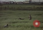 Immagine di Sentry cane attaccando Tan Son Nhut Air Force Base Vietnam, 1965, secondo 31 filmato di repertorio 65675028503