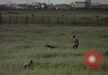 Immagine di Sentry cane attaccando Tan Son Nhut Air Force Base Vietnam, 1965, secondo 32 filmato di repertorio 65675028503