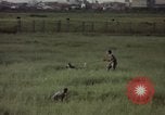 Immagine di Sentry cane attaccando Tan Son Nhut Air Force Base Vietnam, 1965, secondo 33 filmato di repertorio 65675028503