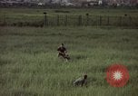 Immagine di Sentry cane attaccando Tan Son Nhut Air Force Base Vietnam, 1965, secondo 37 filmato di repertorio 65675028503