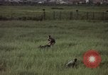 Immagine di Sentry cane attaccando Tan Son Nhut Air Force Base Vietnam, 1965, secondo 38 filmato di repertorio 65675028503
