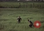 Immagine di Sentry cane attaccando Tan Son Nhut Air Force Base Vietnam, 1965, secondo 45 filmato di repertorio 65675028503