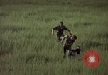 Immagine di Sentry cane attaccando Tan Son Nhut Air Force Base Vietnam, 1965, secondo 46 filmato di repertorio 65675028503