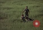 Immagine di Sentry cane attaccando Tan Son Nhut Air Force Base Vietnam, 1965, secondo 47 filmato di repertorio 65675028503