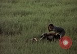 Immagine di Sentry cane attaccando Tan Son Nhut Air Force Base Vietnam, 1965, secondo 49 filmato di repertorio 65675028503