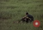 Immagine di Sentry cane attaccando Tan Son Nhut Air Force Base Vietnam, 1965, secondo 50 filmato di repertorio 65675028503