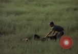 Immagine di Sentry cane attaccando Tan Son Nhut Air Force Base Vietnam, 1965, secondo 51 filmato di repertorio 65675028503