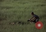 Immagine di Sentry cane attaccando Tan Son Nhut Air Force Base Vietnam, 1965, secondo 52 filmato di repertorio 65675028503