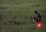 Immagine di Sentry cane attaccando Tan Son Nhut Air Force Base Vietnam, 1965, secondo 53 filmato di repertorio 65675028503