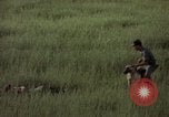 Immagine di Sentry cane attaccando Tan Son Nhut Air Force Base Vietnam, 1965, secondo 54 filmato di repertorio 65675028503