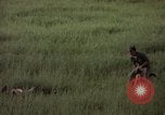 Immagine di Sentry cane attaccando Tan Son Nhut Air Force Base Vietnam, 1965, secondo 55 filmato di repertorio 65675028503