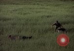 Immagine di Sentry cane attaccando Tan Son Nhut Air Force Base Vietnam, 1965, secondo 58 filmato di repertorio 65675028503