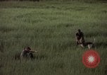 Immagine di Sentry cane attaccando Tan Son Nhut Air Force Base Vietnam, 1965, secondo 59 filmato di repertorio 65675028503