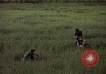 Immagine di Sentry cane attaccando Tan Son Nhut Air Force Base Vietnam, 1965, secondo 60 filmato di repertorio 65675028503