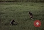Immagine di Sentry cane attaccando Tan Son Nhut Air Force Base Vietnam, 1965, secondo 61 filmato di repertorio 65675028503