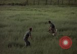 Immagine di Sentry cane attaccando Tan Son Nhut Air Force Base Vietnam, 1965, secondo 62 filmato di repertorio 65675028503