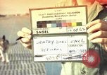 Image of sentry dogs Tan Son Nhut Air Force Base Vietnam, 1965, second 1 stock footage video 65675028504