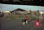 Image of sentry dogs Tan Son Nhut Air Force Base Vietnam, 1965, second 6 stock footage video 65675028504