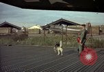 Image of sentry dogs Tan Son Nhut Air Force Base Vietnam, 1965, second 8 stock footage video 65675028504