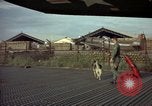 Image of sentry dogs Tan Son Nhut Air Force Base Vietnam, 1965, second 9 stock footage video 65675028504