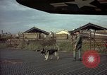 Image of sentry dogs Tan Son Nhut Air Force Base Vietnam, 1965, second 11 stock footage video 65675028504