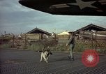 Image of sentry dogs Tan Son Nhut Air Force Base Vietnam, 1965, second 12 stock footage video 65675028504