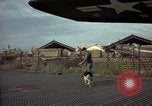 Image of sentry dogs Tan Son Nhut Air Force Base Vietnam, 1965, second 14 stock footage video 65675028504