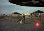 Image of sentry dogs Tan Son Nhut Air Force Base Vietnam, 1965, second 15 stock footage video 65675028504