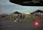 Image of sentry dogs Tan Son Nhut Air Force Base Vietnam, 1965, second 16 stock footage video 65675028504