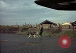 Image of sentry dogs Tan Son Nhut Air Force Base Vietnam, 1965, second 18 stock footage video 65675028504