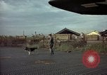 Image of sentry dogs Tan Son Nhut Air Force Base Vietnam, 1965, second 19 stock footage video 65675028504