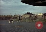 Image of sentry dogs Tan Son Nhut Air Force Base Vietnam, 1965, second 20 stock footage video 65675028504