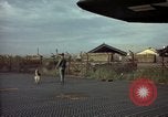 Image of sentry dogs Tan Son Nhut Air Force Base Vietnam, 1965, second 21 stock footage video 65675028504